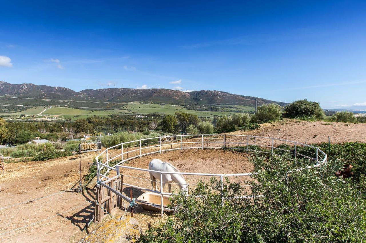 Casita Rural En Centro De Hipica Apartment Tarifa Exterior foto